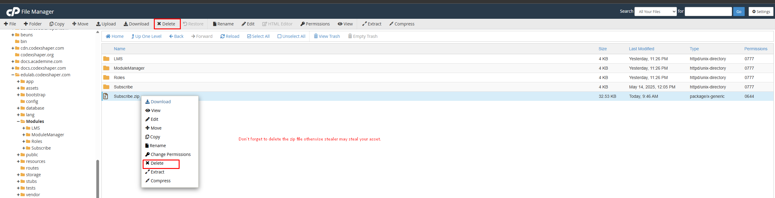 Delete Module Zip